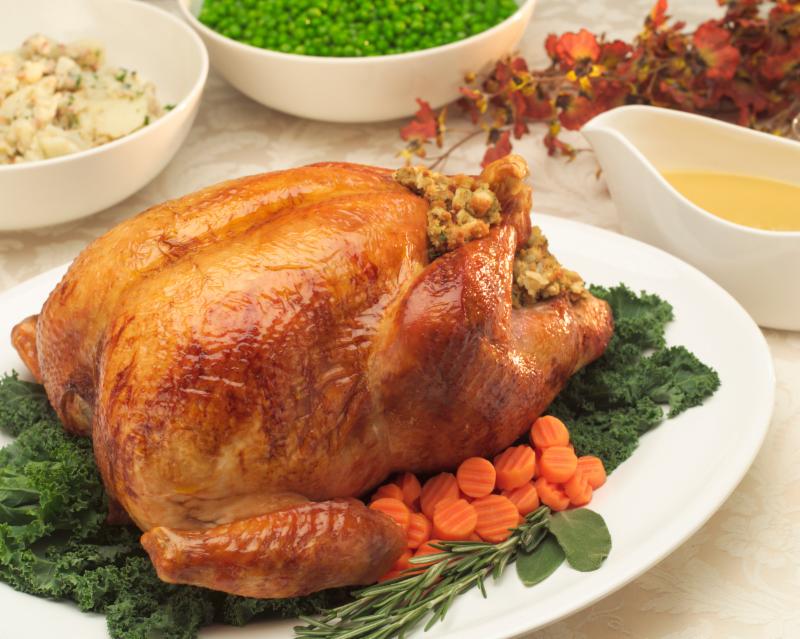 Happy Thanksgiving 2019!